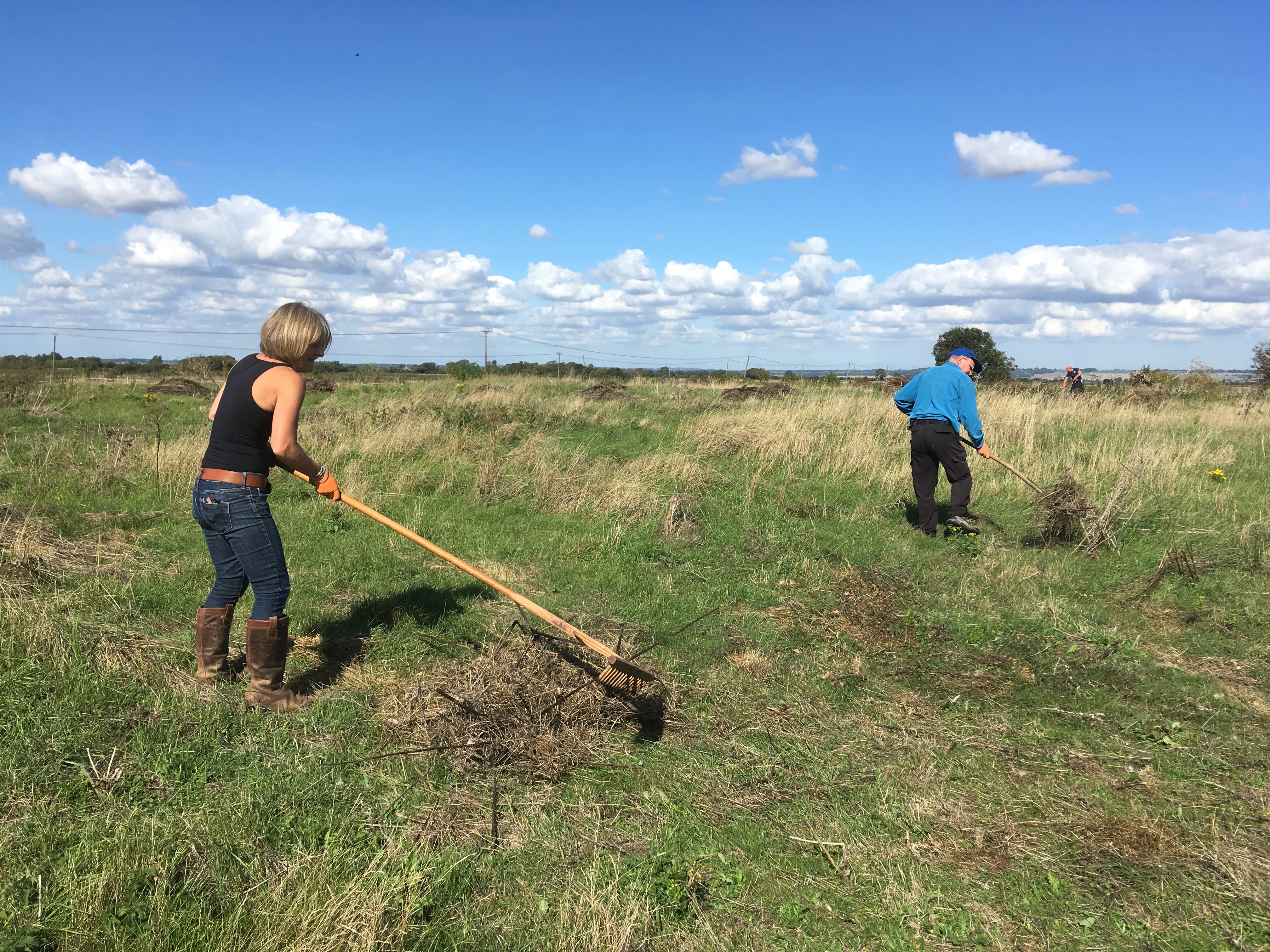 Raking Sept 18